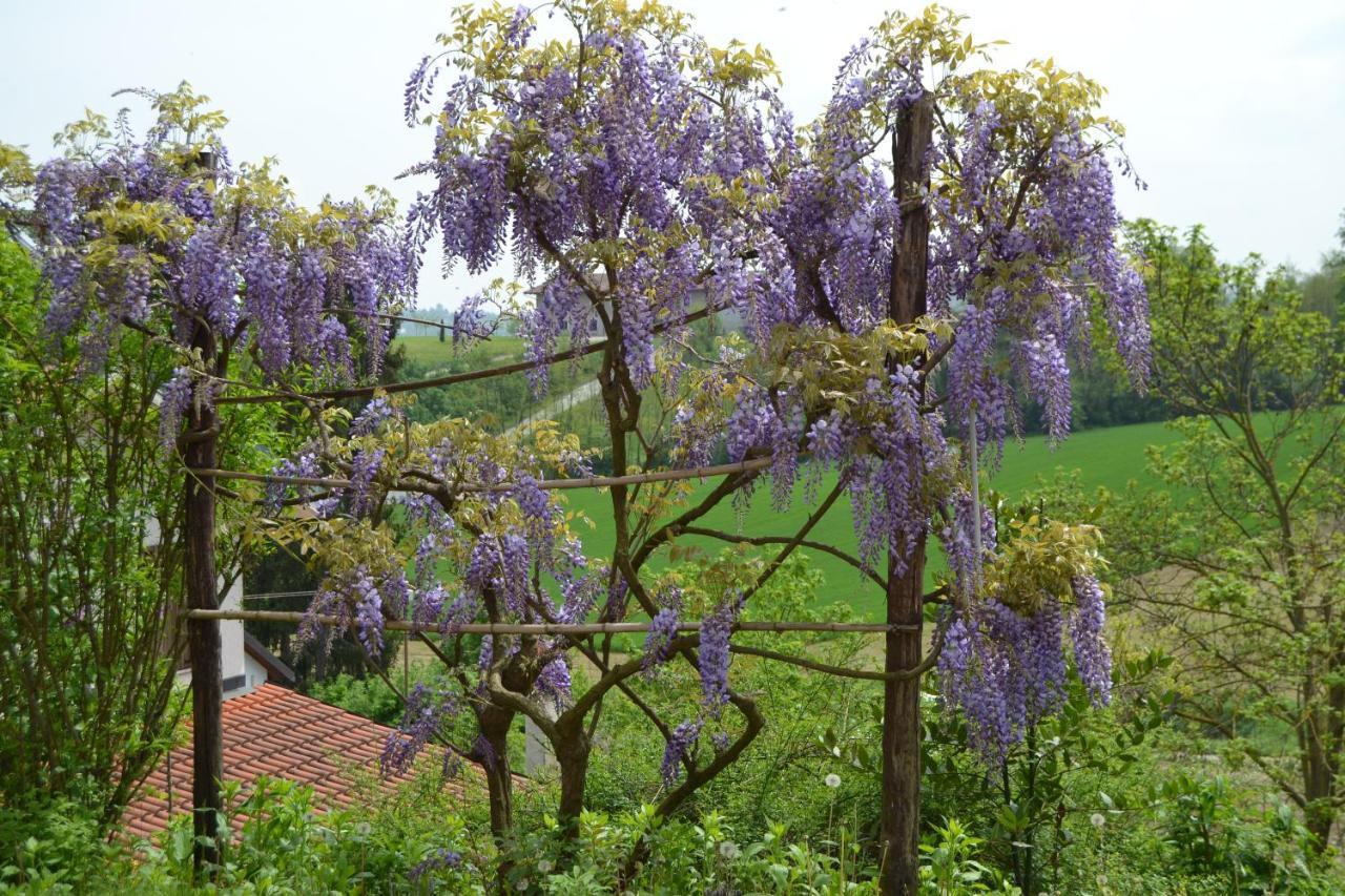 Casa Dei Ciliegi Castell'Alfero Villa ภายนอก รูปภาพ